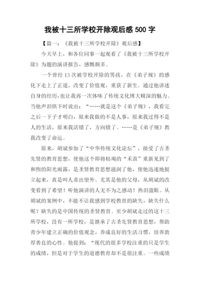 我被十三所学校开除观后感500字.docx