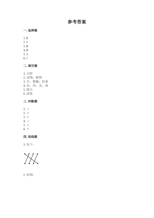 教科版小学二年级上册科学期末测试卷【综合卷】.docx