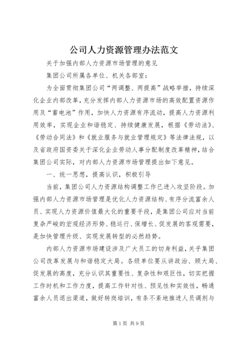 公司人力资源管理办法范文 (3).docx