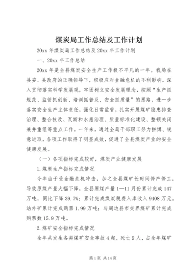 煤炭局工作总结及工作计划 (3).docx