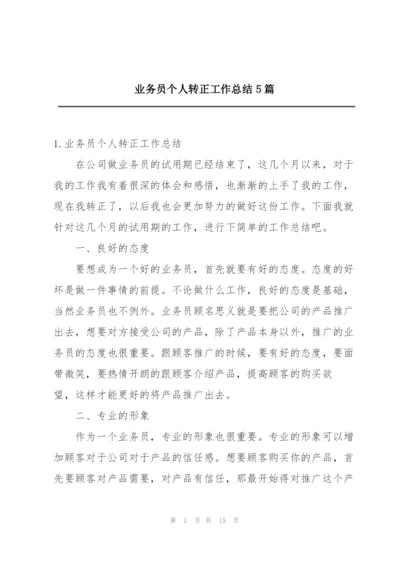 业务员个人转正工作总结5篇.docx