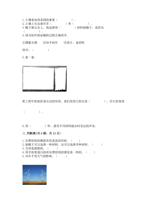 教科版二年级上册科学期末测试卷标准卷.docx