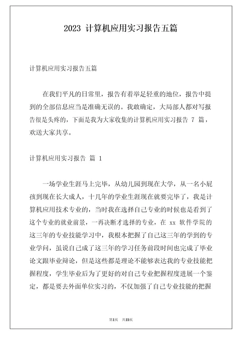 2023年计算机应用实习报告