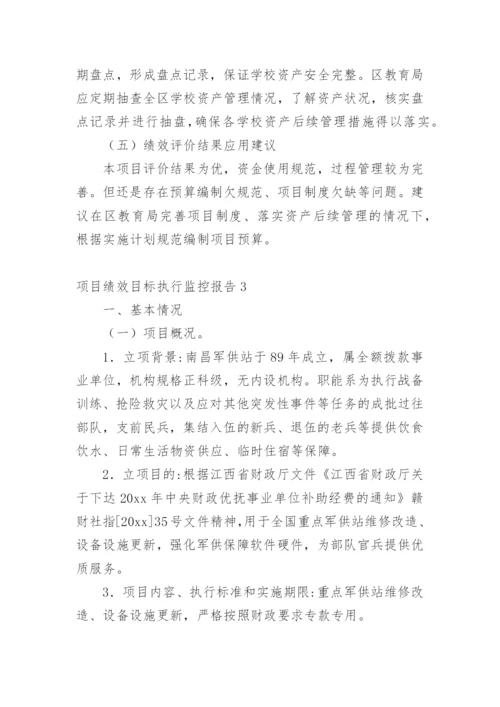 项目绩效目标执行监控报告.docx