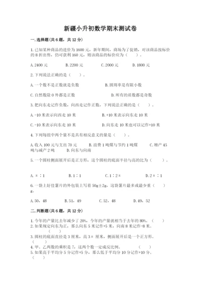 新疆小升初数学期末测试卷（实用）.docx