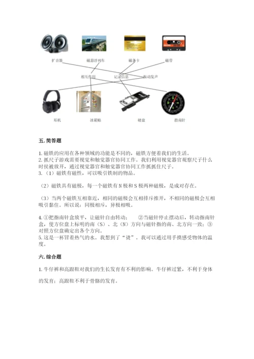 教科版二年级下册科学期末测试卷（word）.docx