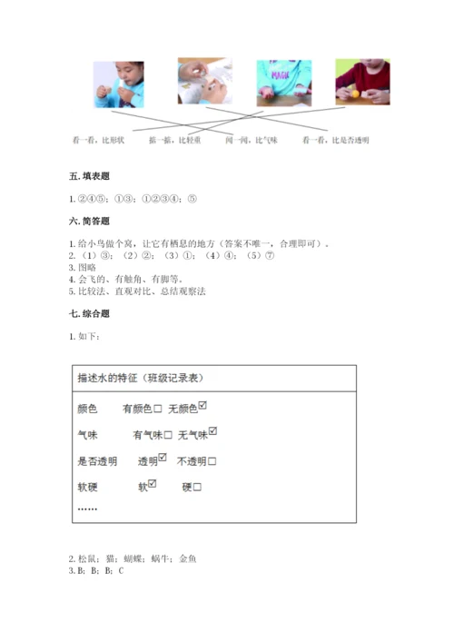 教科版小学科学一年级下册期末测试卷及完整答案（全国通用）.docx