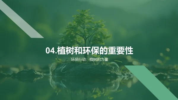 植树环保的探究