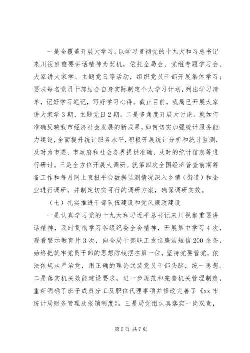 统计局XX年上半年工作总结及下半年工作计划.docx