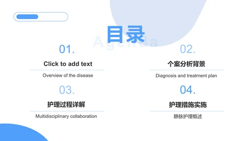蓝色商务风静脉护理个案汇报PPT模板