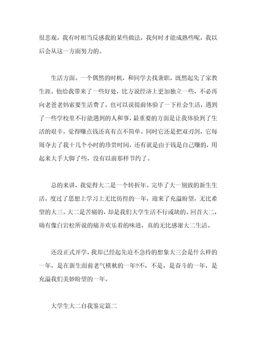 大学生大二自我鉴定总结