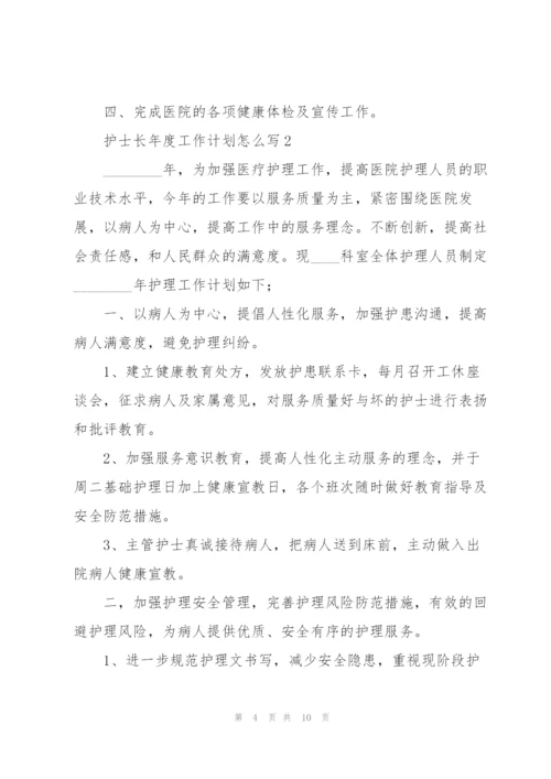 护士长年度工作计划怎么写合集.docx