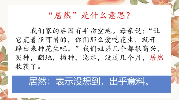 2 落花生 课件