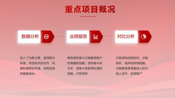 红色大气党建政府党支部工作总结PPT