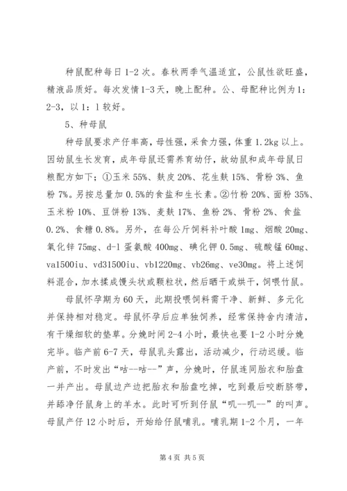 竹鼠养殖计划书 (3).docx