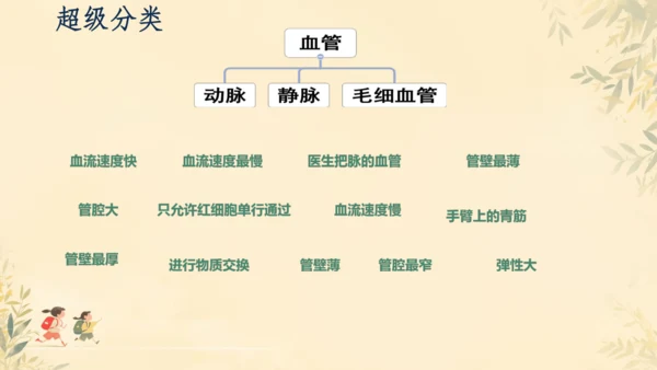 初中生物学人教版（新课程标准）七年级下册4.2 血流的管道──血管课件(共16张PPT)