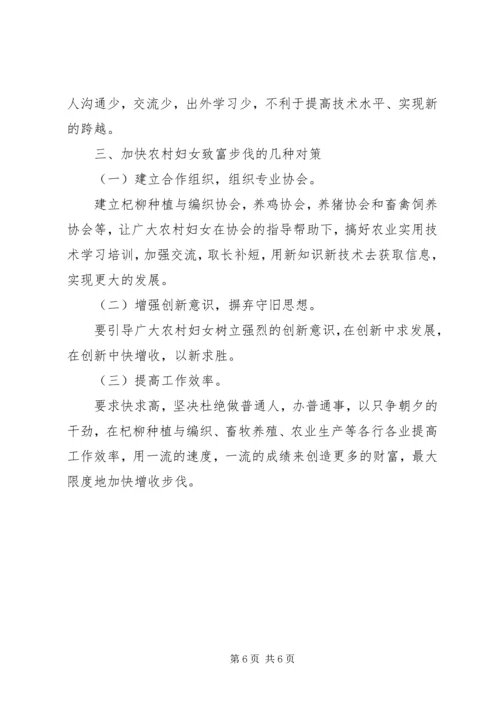 妇联增收致富调查工作汇报.docx