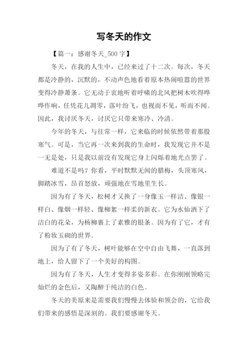写冬天的作文.docx