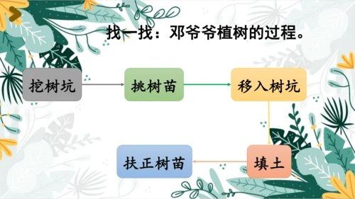 4.邓小平爷爷植树（第一课时）  课件