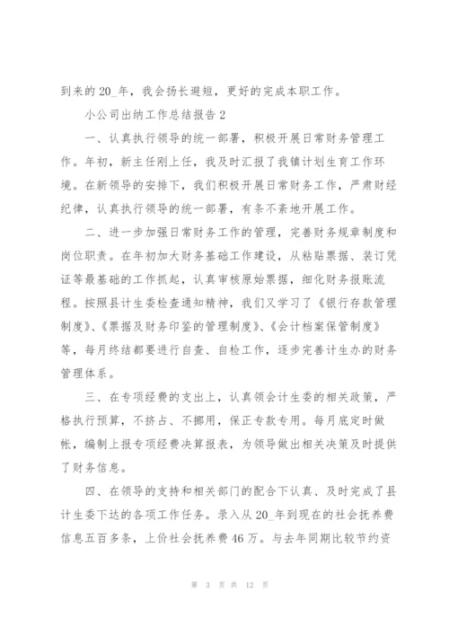 小公司出纳工作总结报告5篇.docx