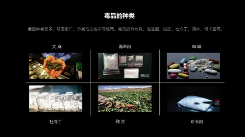 国际禁毒日珍爱生命远离罪恶通用PPT模板