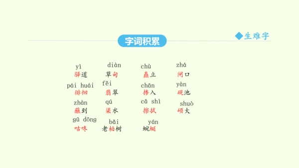 第20课  一滴水经过丽江 统编版语文八年级下册 同步精品课件