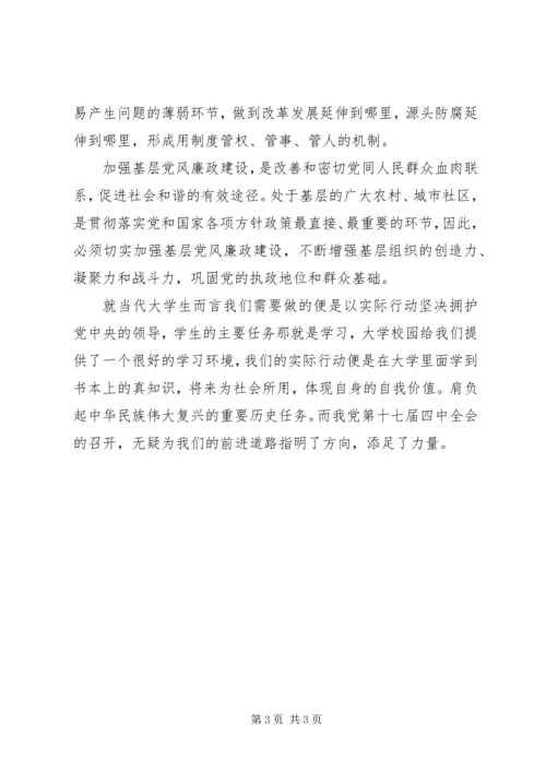 学习十七届四中全会精神 (2).docx