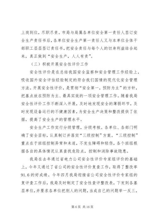 电力局安全保卫工作总结及计划 (3).docx
