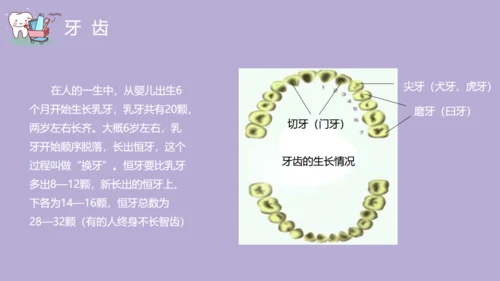 口腔健康主题班会通用PPT模板