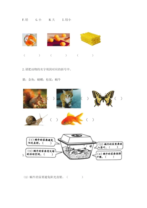 教科版一年级下册科学期末测试卷精品（能力提升）.docx