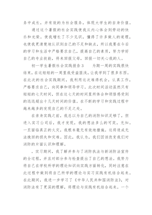 初一学生暑假社会实践报告.docx