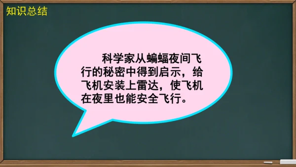 6 夜间飞行的秘密（课件）