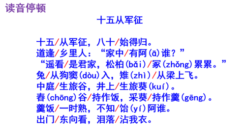 第24课《十五从军征》精品实用高效课件(共18张PPT)