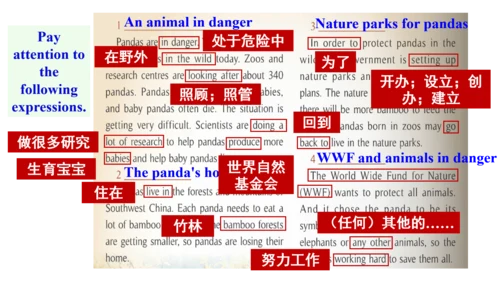 Module 6 Unit 2 The WWF is working hard to save th