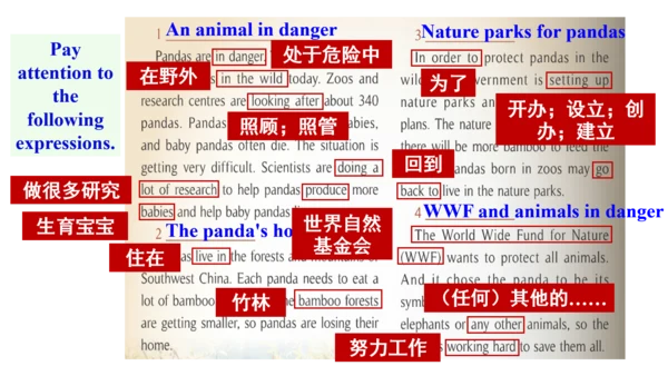 Module 6 Unit 2 The WWF is working hard to save th