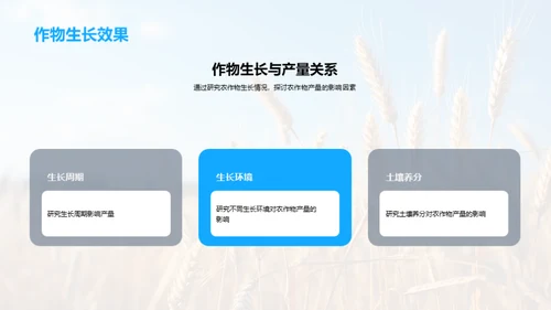 探索农作物增产新路径