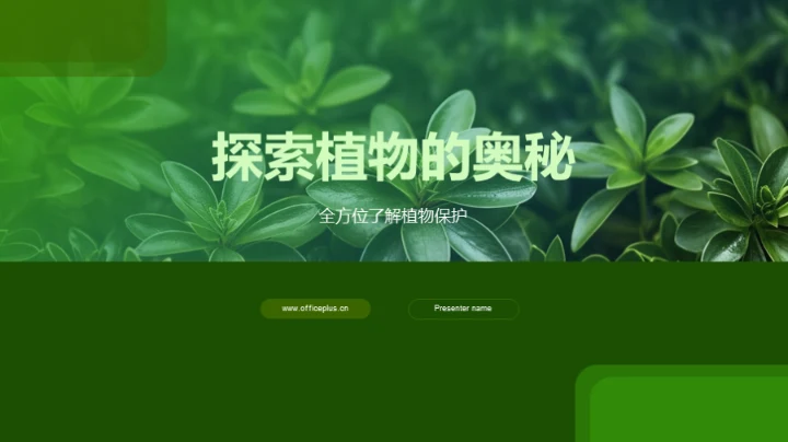 探索植物的奥秘