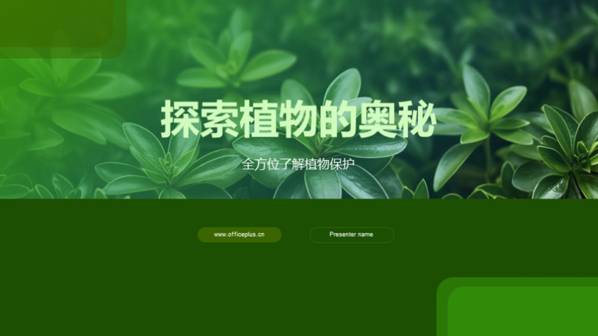 探索植物的奥秘