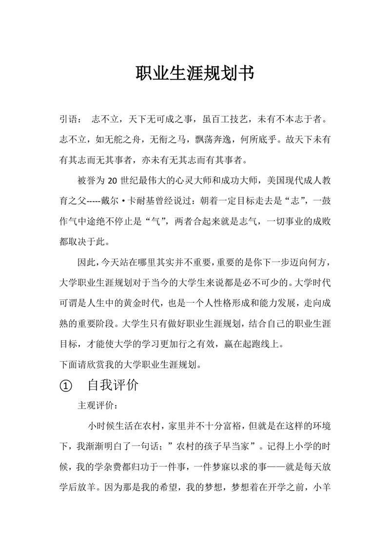 职业生涯规划书