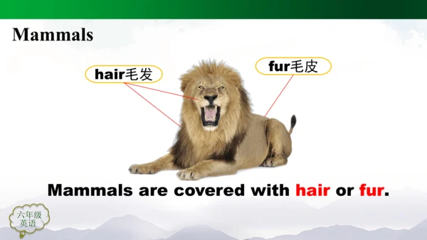 Unit 3 Animal World (第３课时)　课件(共58张PPT)