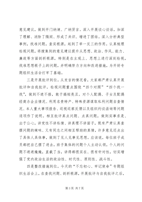 在参加指导“不忘初心、牢记使命”专题“不忘初心、牢记使命”专题组织生活会时的讲话.docx