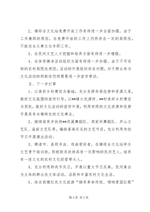 乡镇综合文化站述职报告.docx