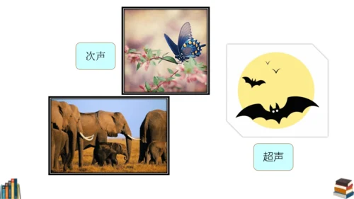12 我们小点儿声 课件（共25张PPT）