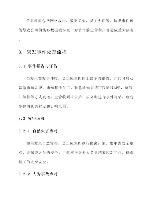 公司突发事件处理方案