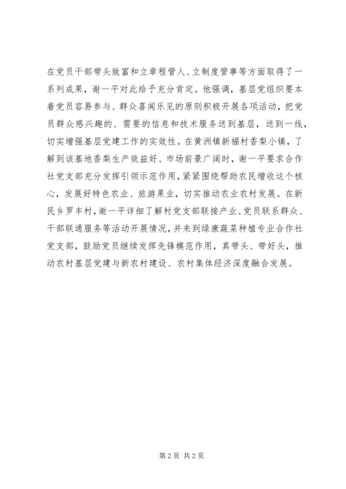 市领导调研党建工作简报.docx