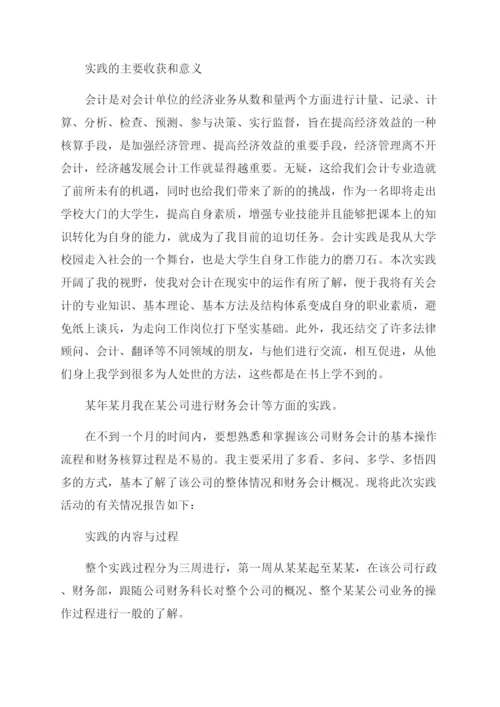 财务会计社会实践报告范文.docx