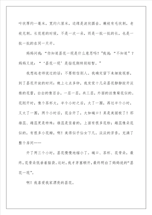 2022写物的作文300字94