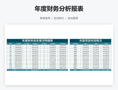 年度财务分析报表