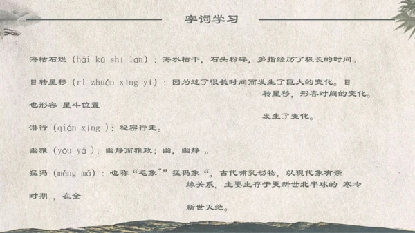 人教版《化石吟》中学语文课教学通用PPT课件模板