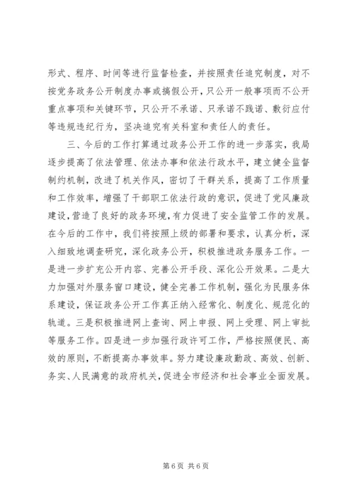 安监局年度党务政务公开工作自查报告.docx